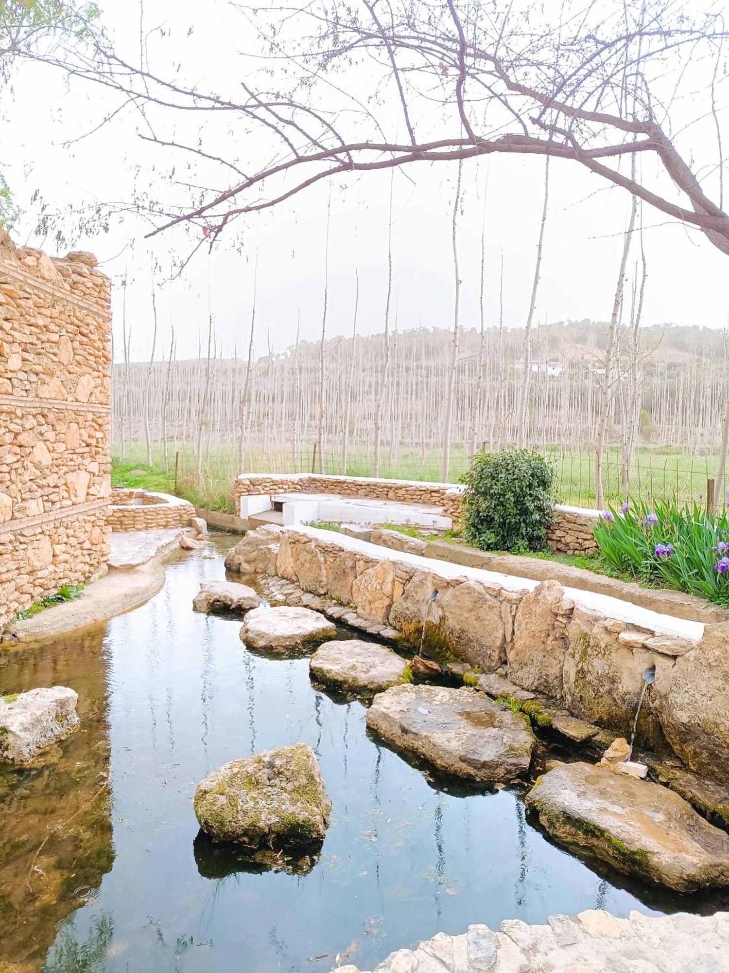 Вилла Casa Cueva The Exclusive Royal Andalusian Cave Alcudia de Guadix Экстерьер фото